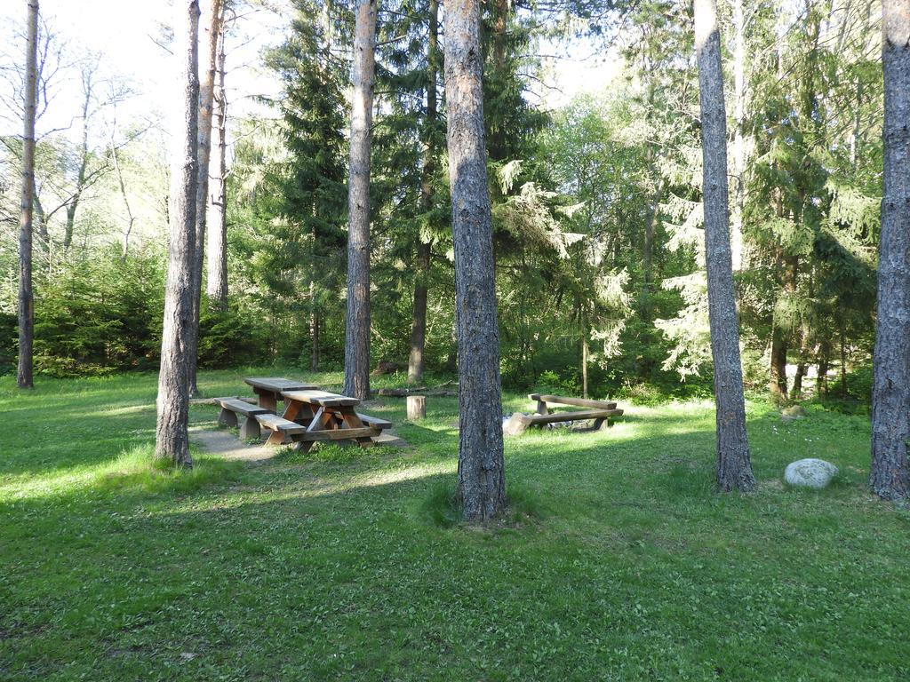 Chata Dasa High Tatras Mlynceky Εξωτερικό φωτογραφία